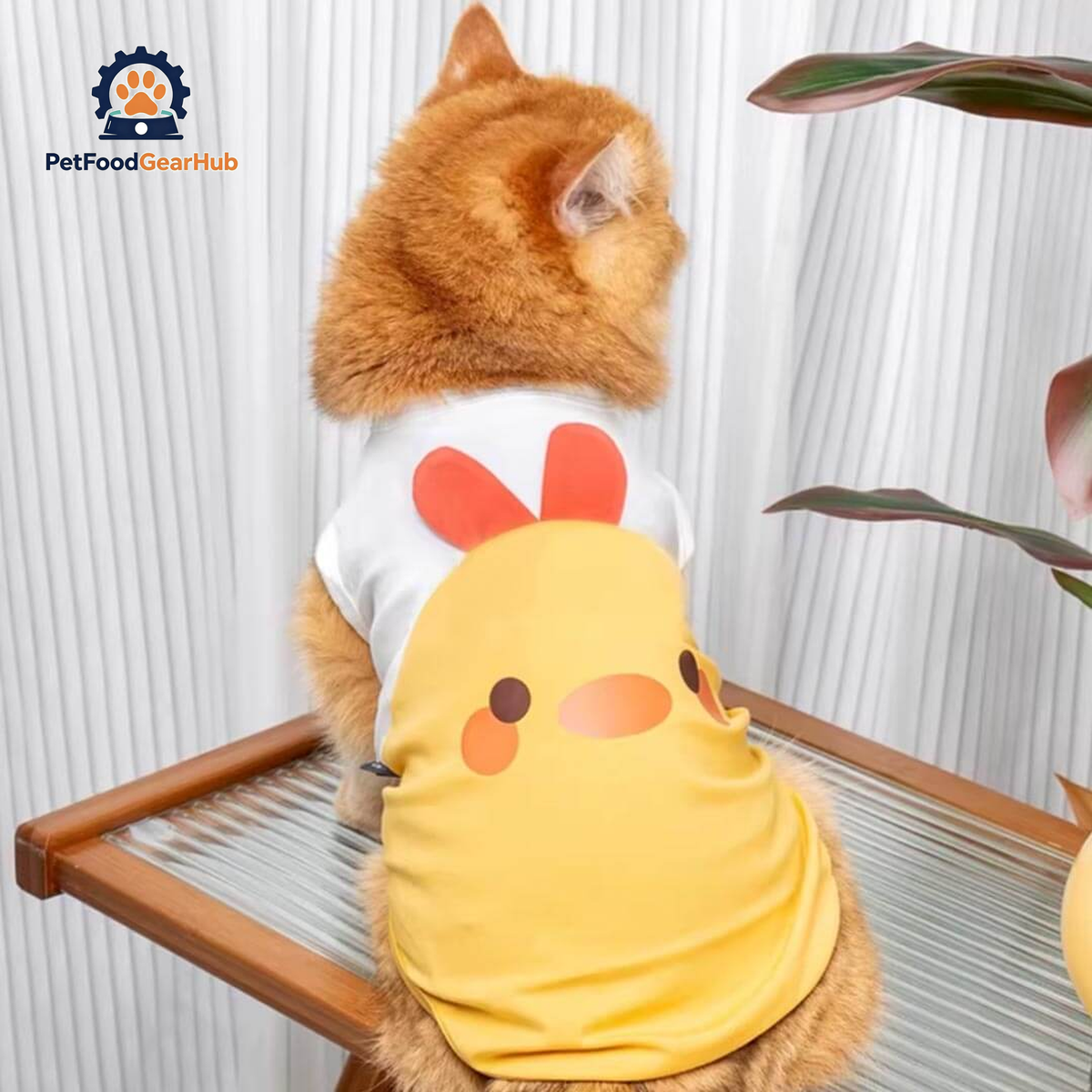 Yellow Chicken Cat Vest On Ginger Cat | Cute Cat Summer Outfit | PetFoodGearHub