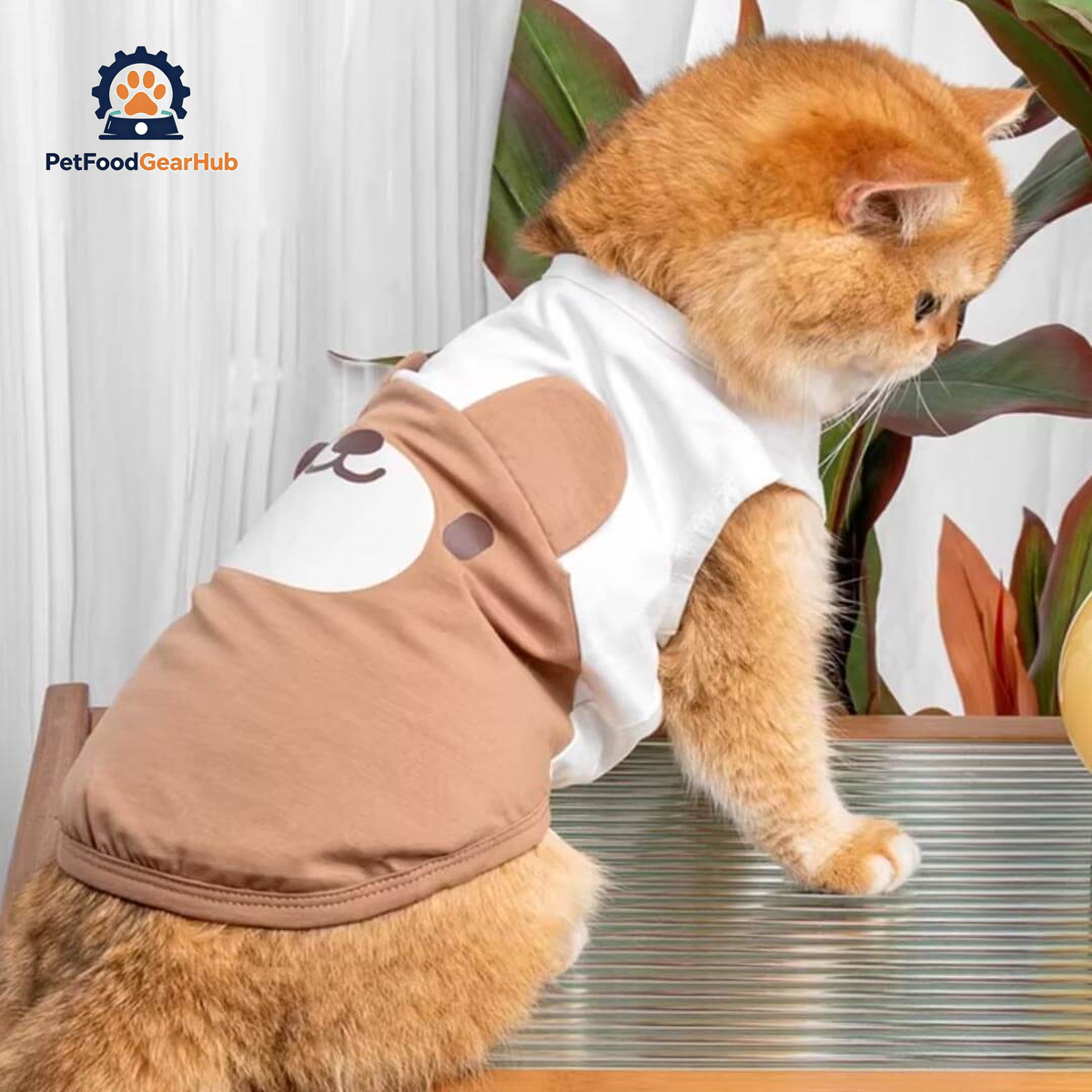 Brown Teddy Bear Cat Vest On Cat | Cat Summer Vest | PetFoodGearHub