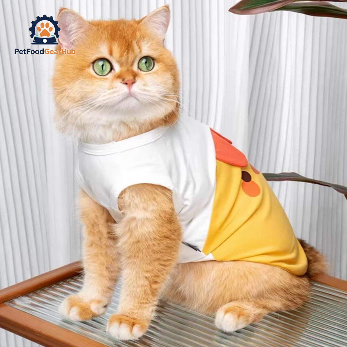 Yellow Chicken Cat Vest On Cat | Cute Cat Apparel | PetFoodGearHub
