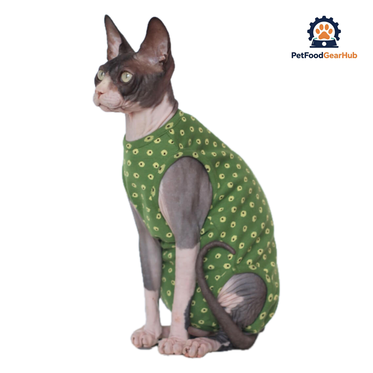 Sphynx Cat in Stylish Green Dungarees | PetFoodGearHub