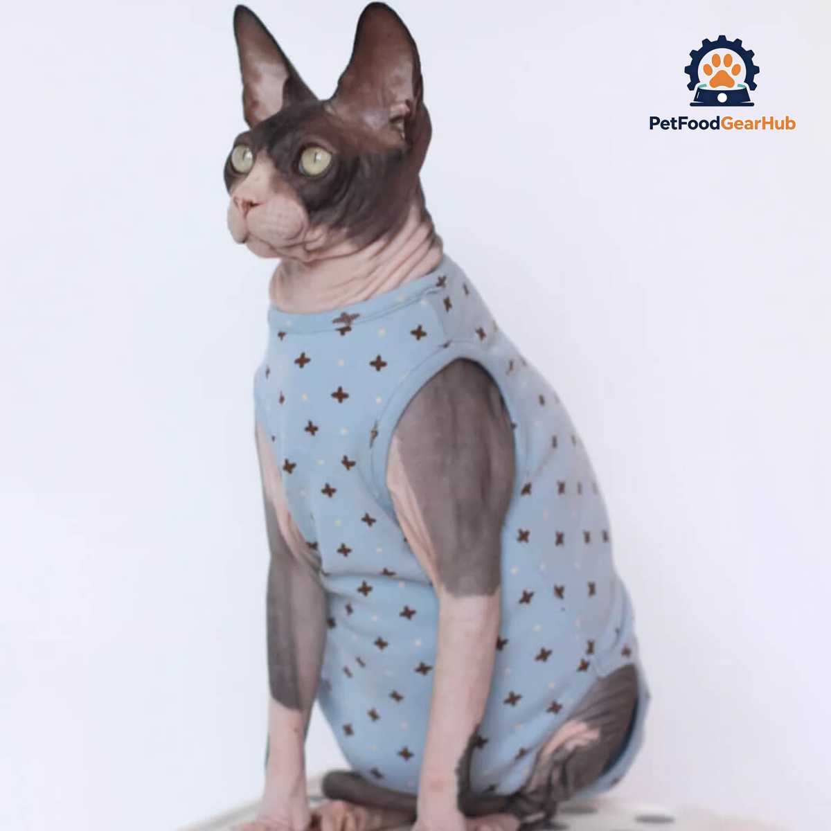 Sphynx Cat in Stylish Blue Dungarees | PetFoodGearHub