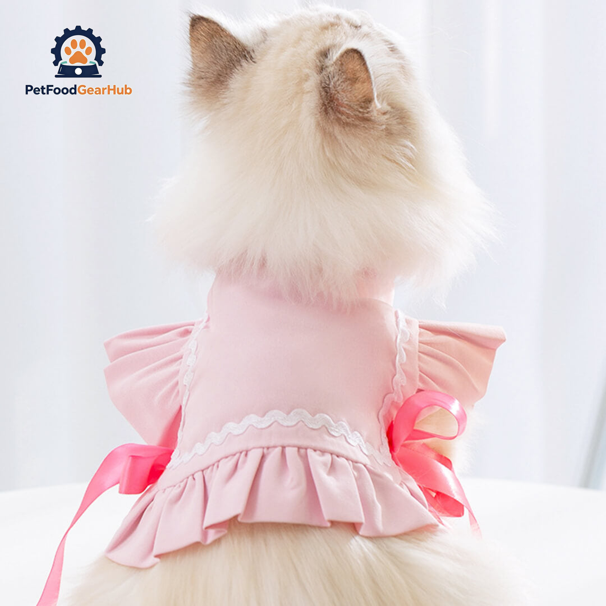 Cat in Pink Cat Vest | PetFoodGearHub