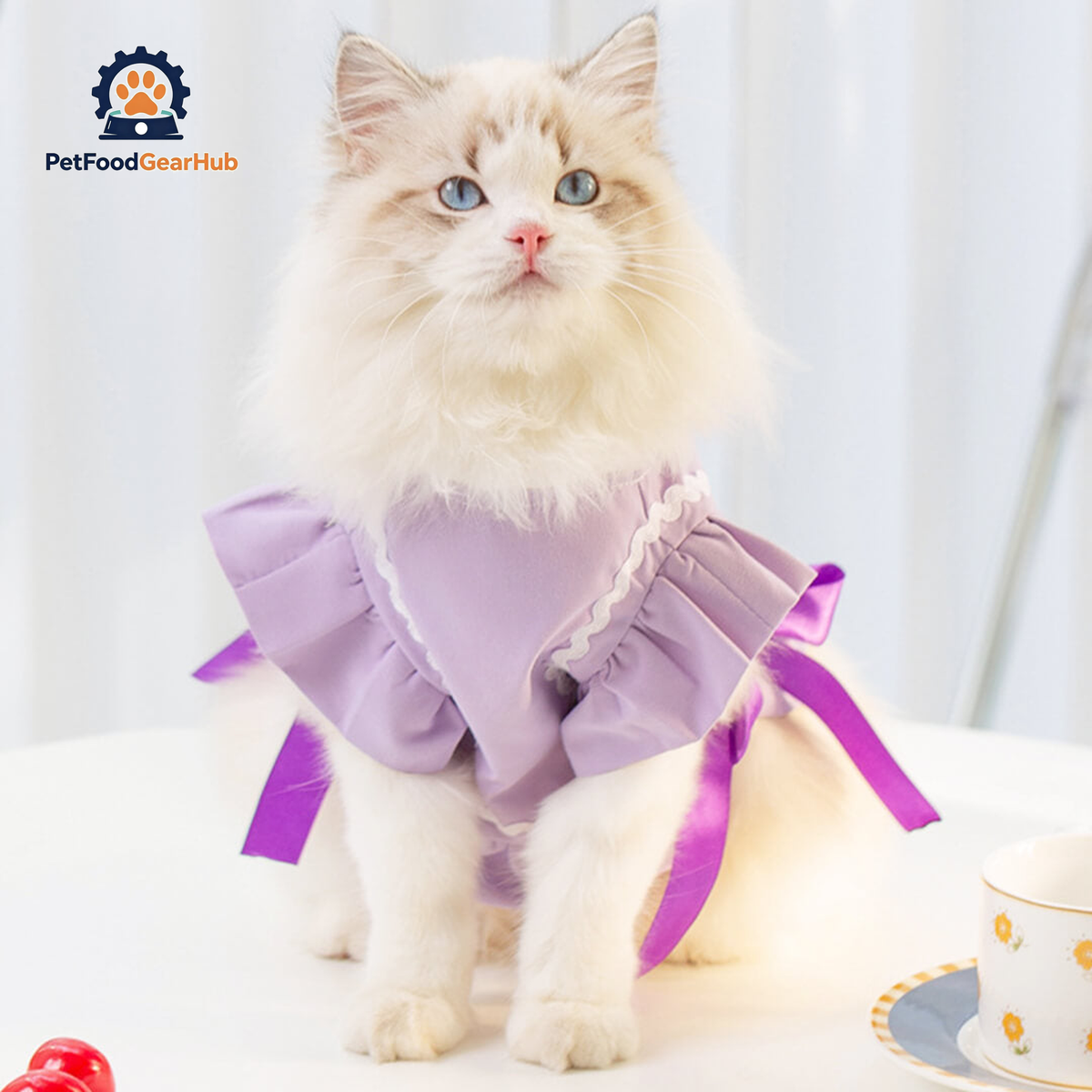 Cat in Purple Cat Vest | PetFoodGearHub