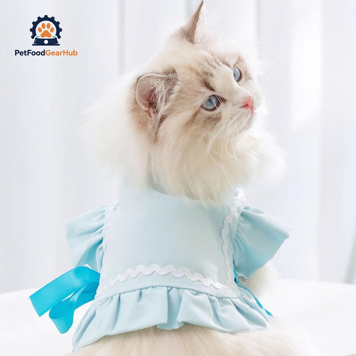 Cat in Blue Cat Vest | PetFoodGearHub