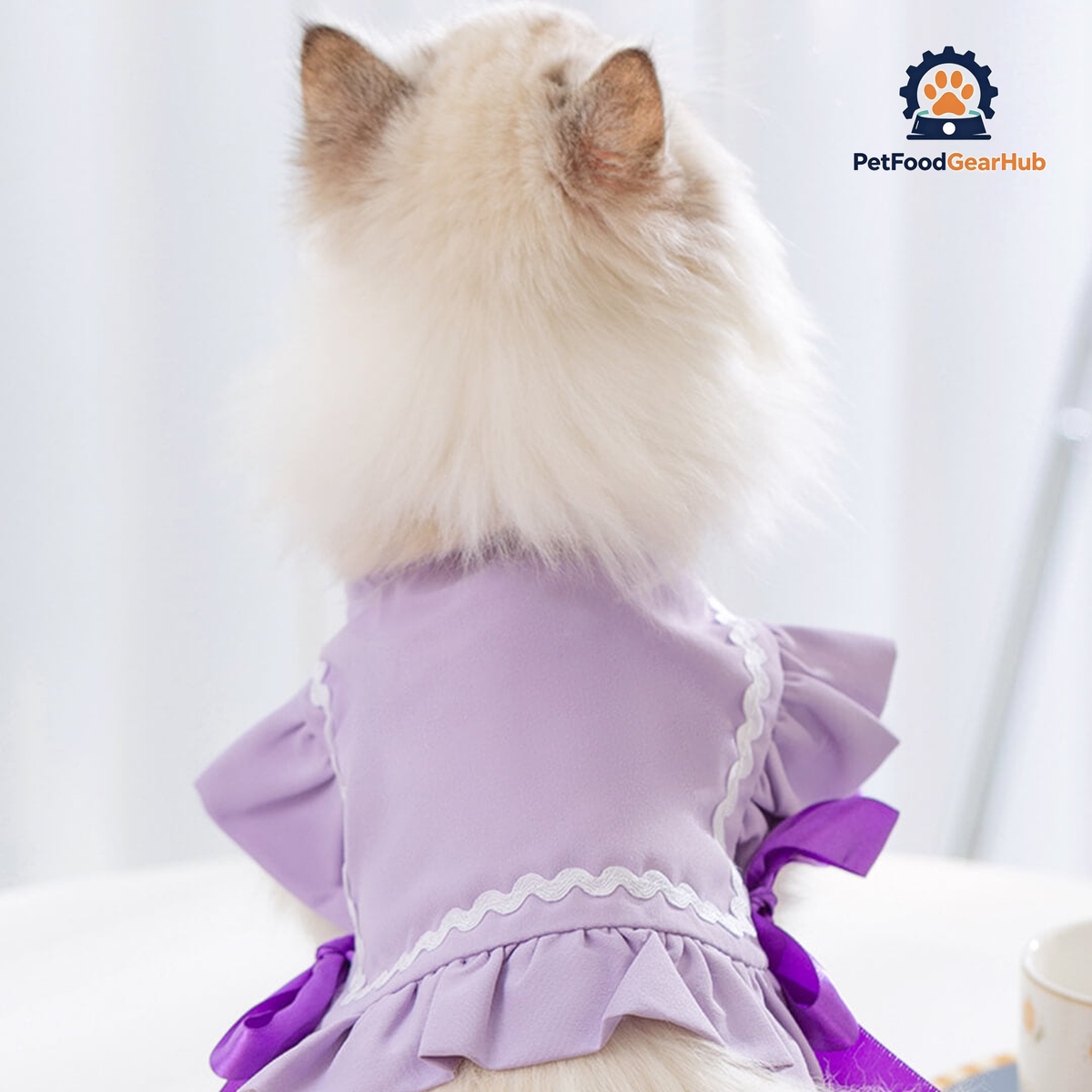 Cat in Purple Cat Vest | PetFoodGearHub