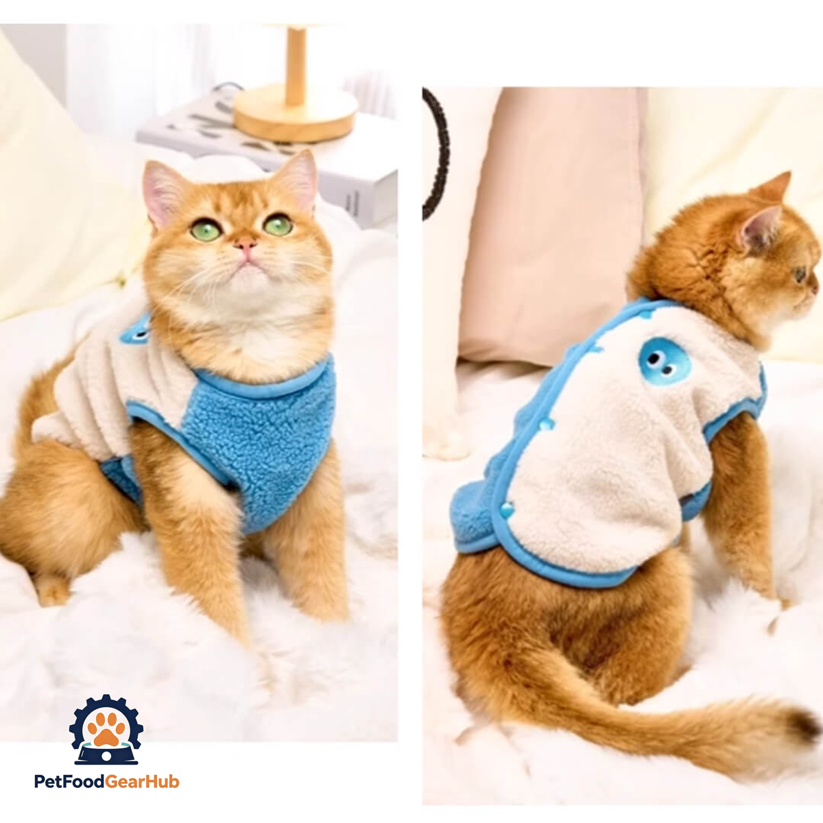 Cat in Cute Blue Vest | PetFoodGearHub