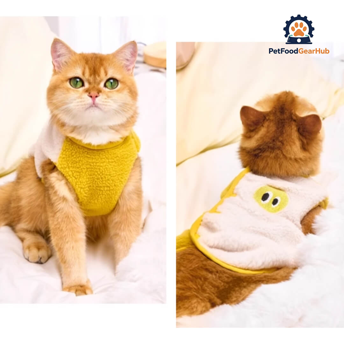 Cat in Cute Yellow Vest | PetFoodGearHub