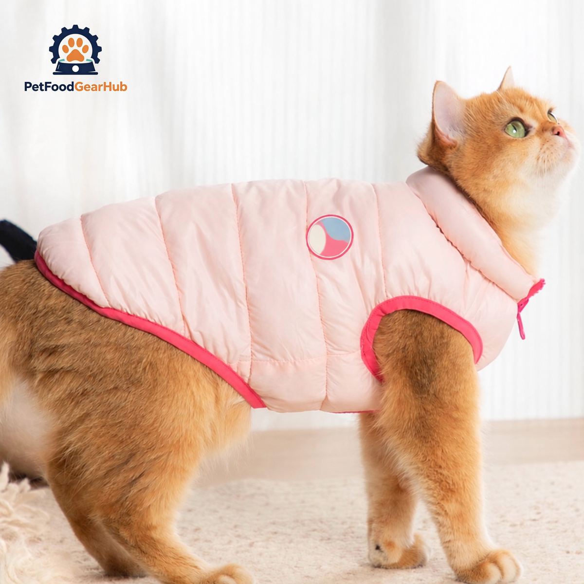 Cat in Pink Reversible Jacket | PetFoodGearHub