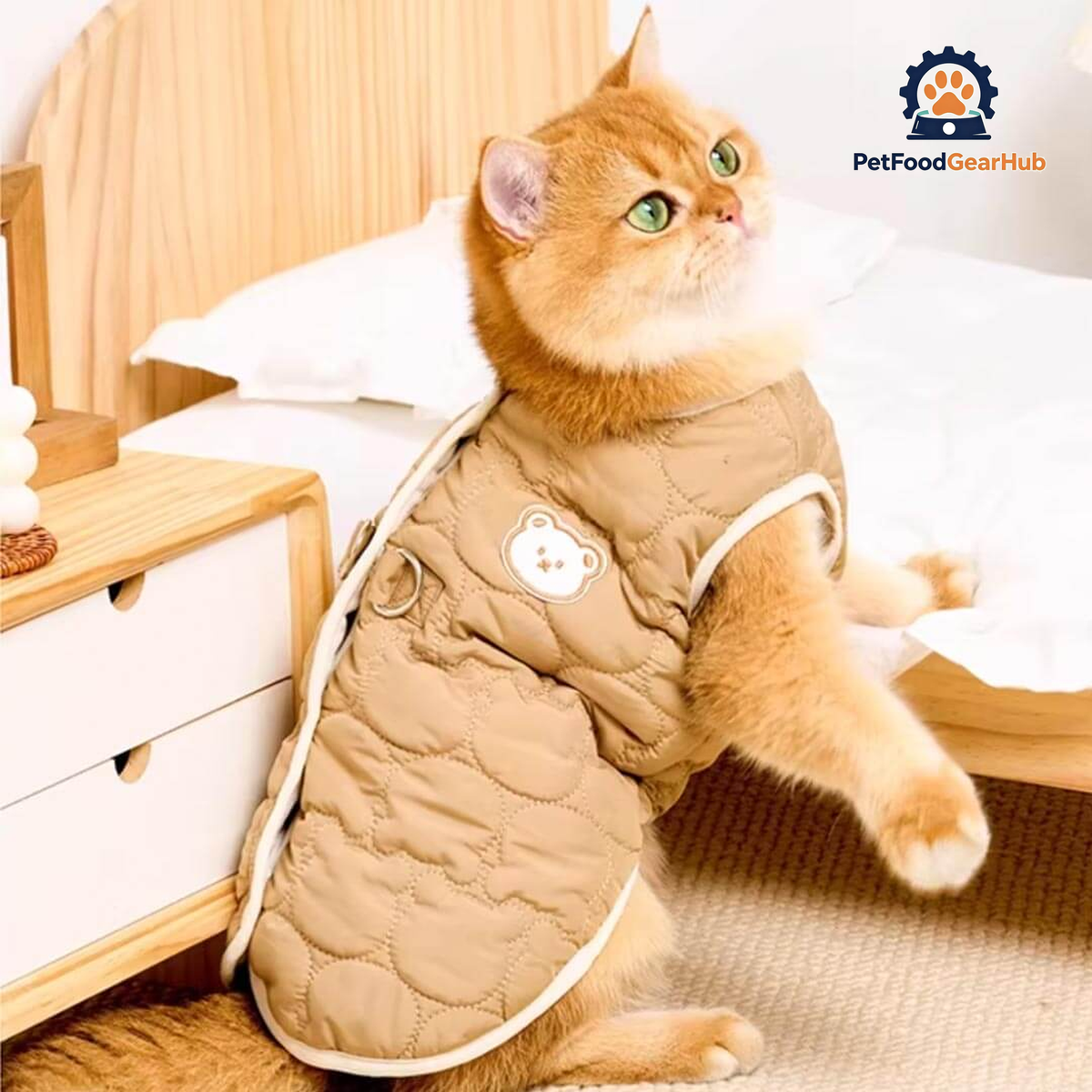 Cat Wearing Brown Quilted Jacket | Cute Bear Cat Vest | PetFoodGearHub