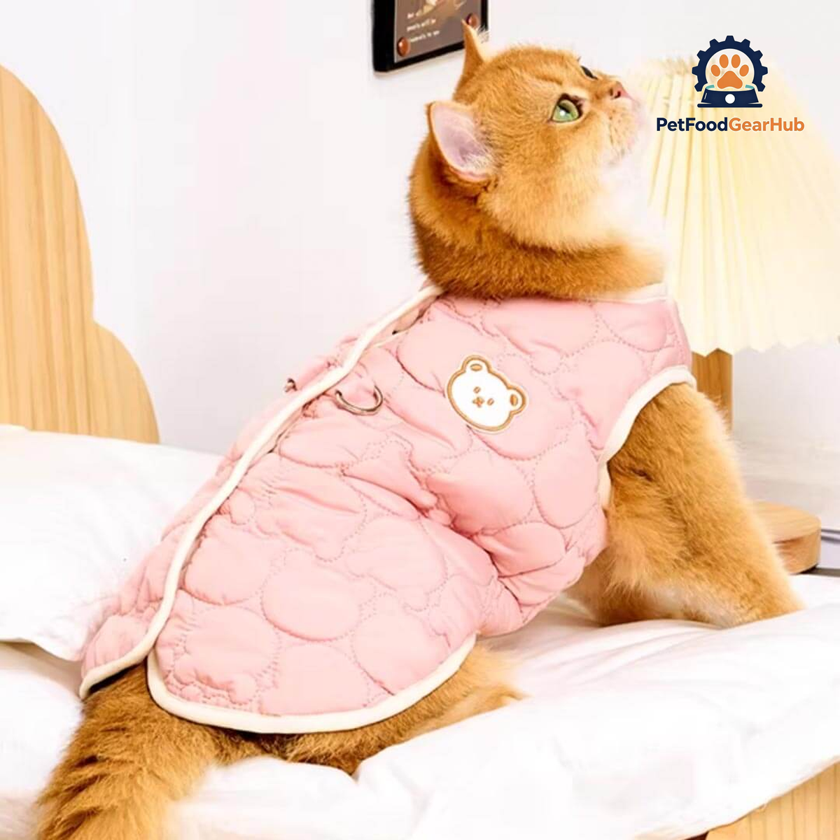 Cat Wearing Pink Quilted Jacket | Cozy Bear Patch Cat Outfit | PetFoodGearHub