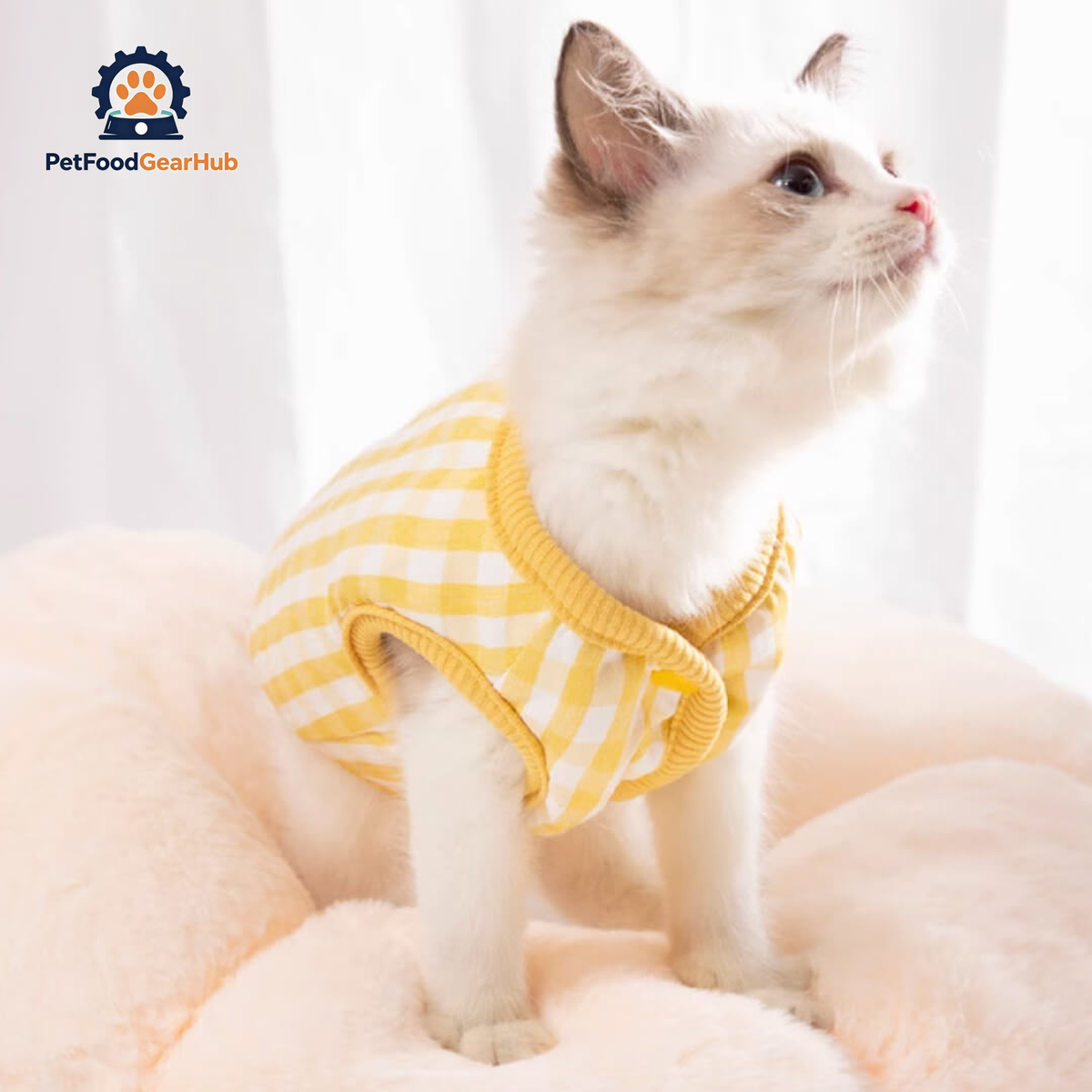 Cat in Yellow Reversible Jacket | PetFoodGearHub