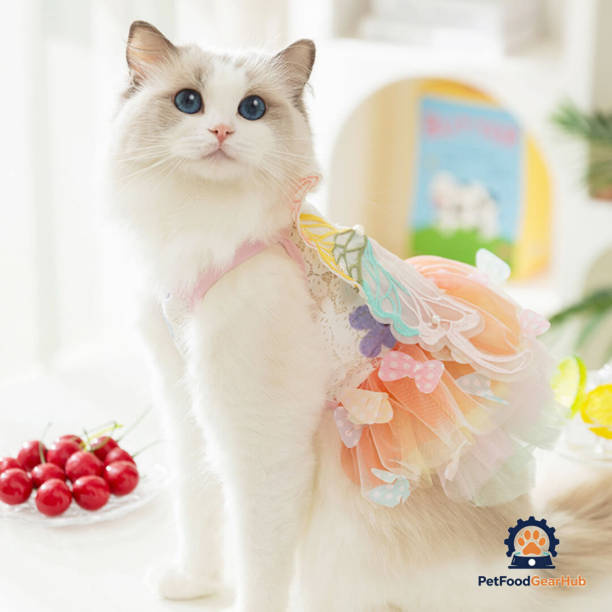 Cat in Butterfly Summer Dress | PetFoodGearHub
