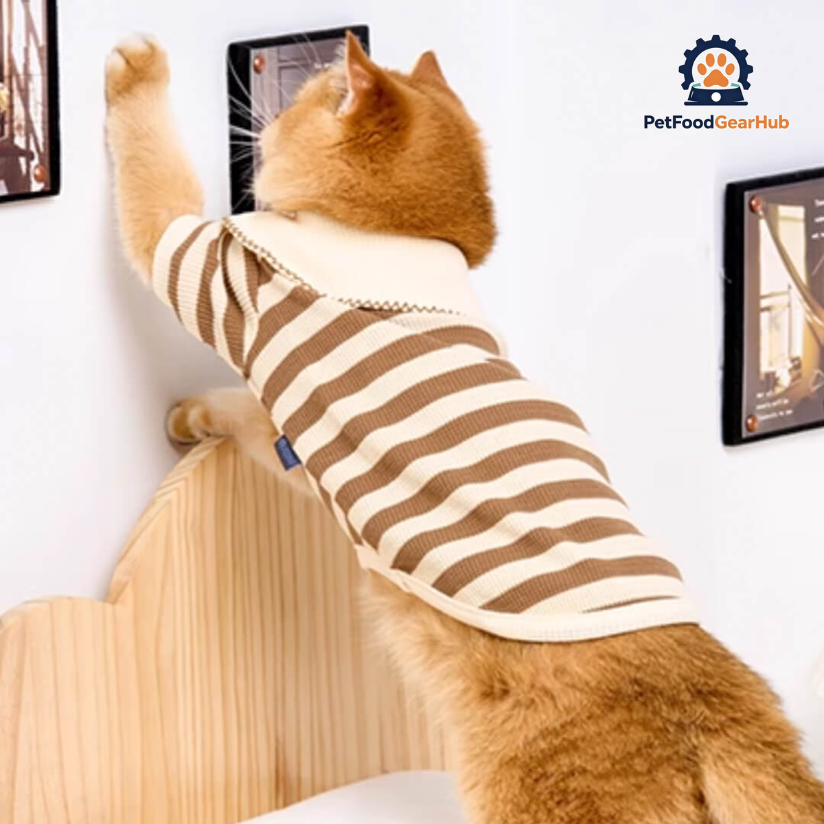 Cat in Brown Striped Shirt | Cat Clothes | PetFoodGearHub