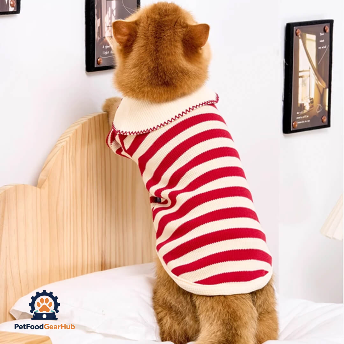 Cat in Striped Shirt | Cat Clothes | PetFoodGearHub