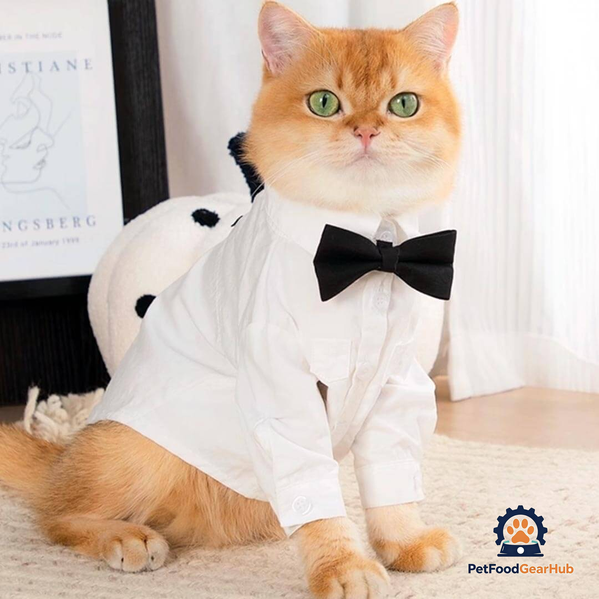 Cat Wearing a White Wedding Shirt with a Black Bow Tie | PetFoodGearHub