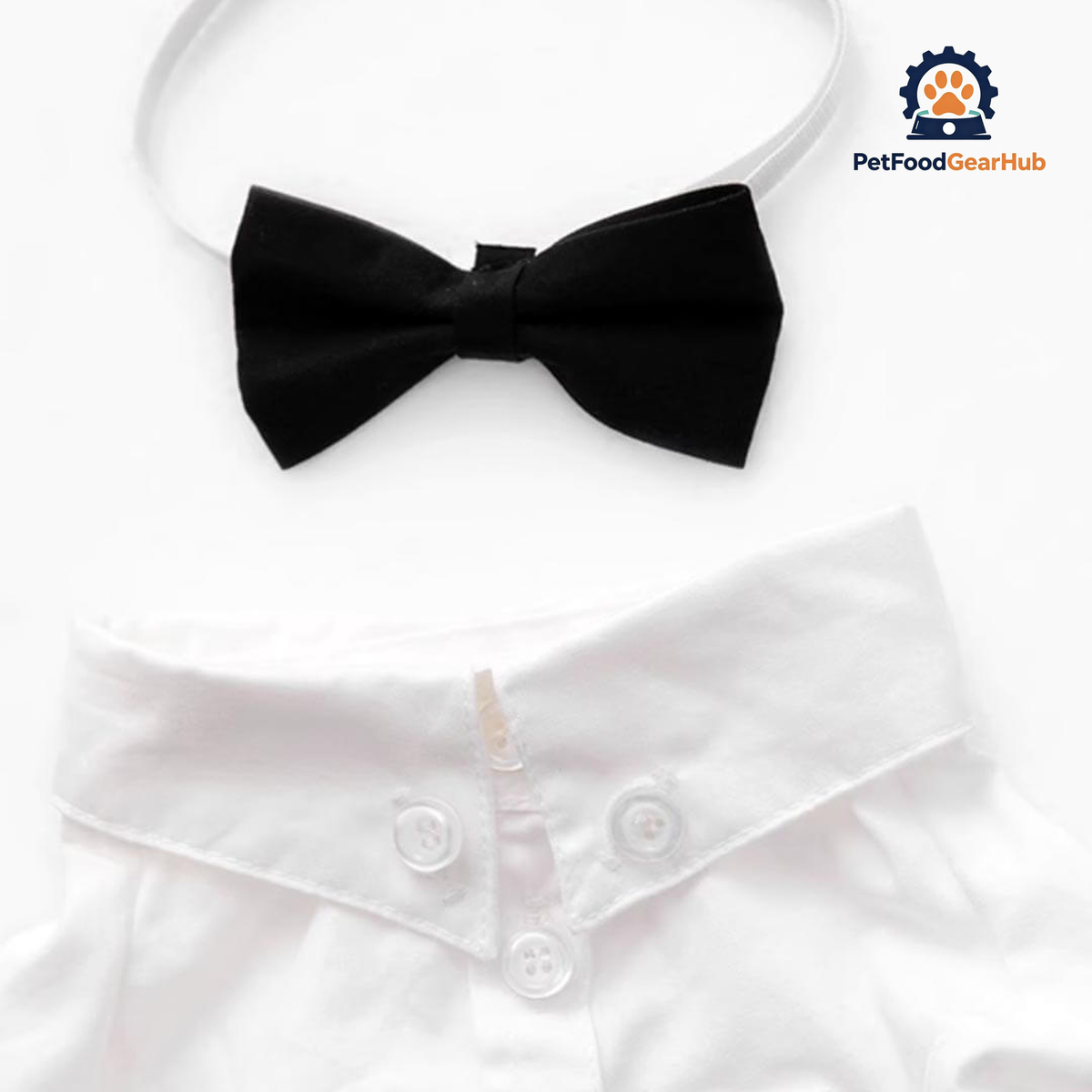 Gentlemeow White Wedding Shirt with a Black Bow Tie for Cats | PetFoodGearHub