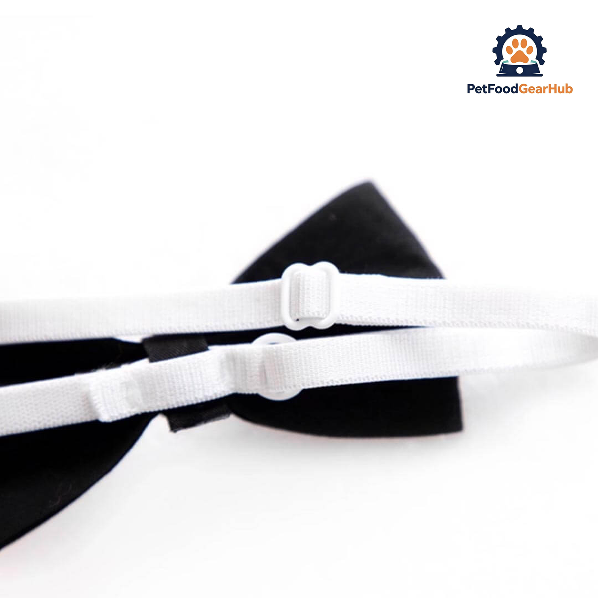 Gentlemeow White Wedding Shirt with a Black Bow Tie for Cats | PetFoodGearHub