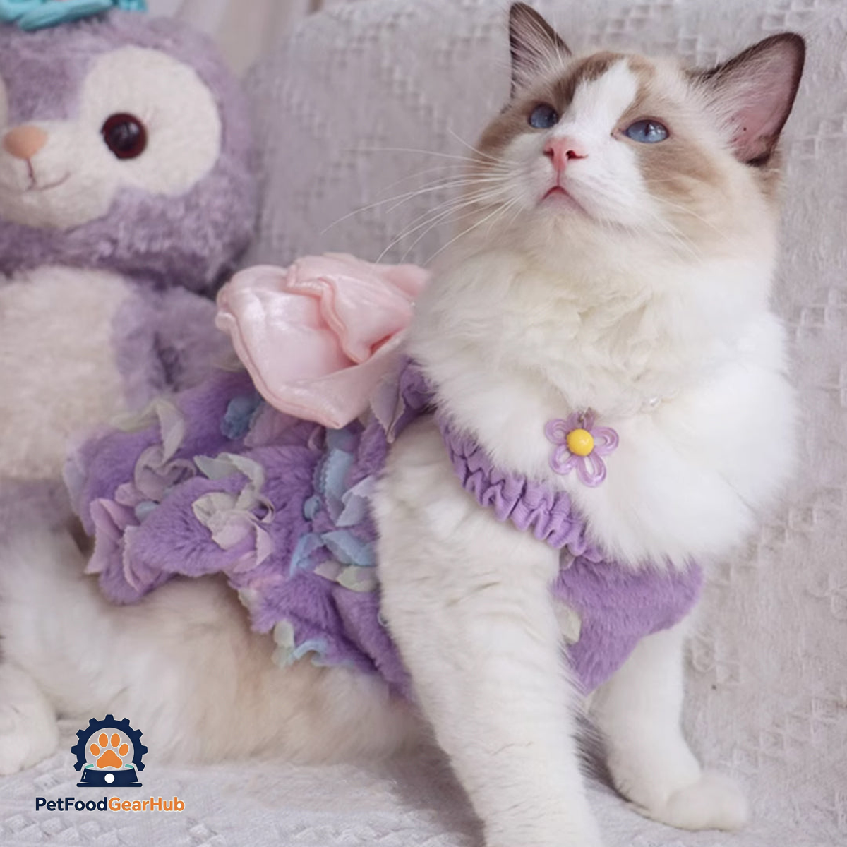 Cat in Cute Lilac Dress | PetFoodGearHub
