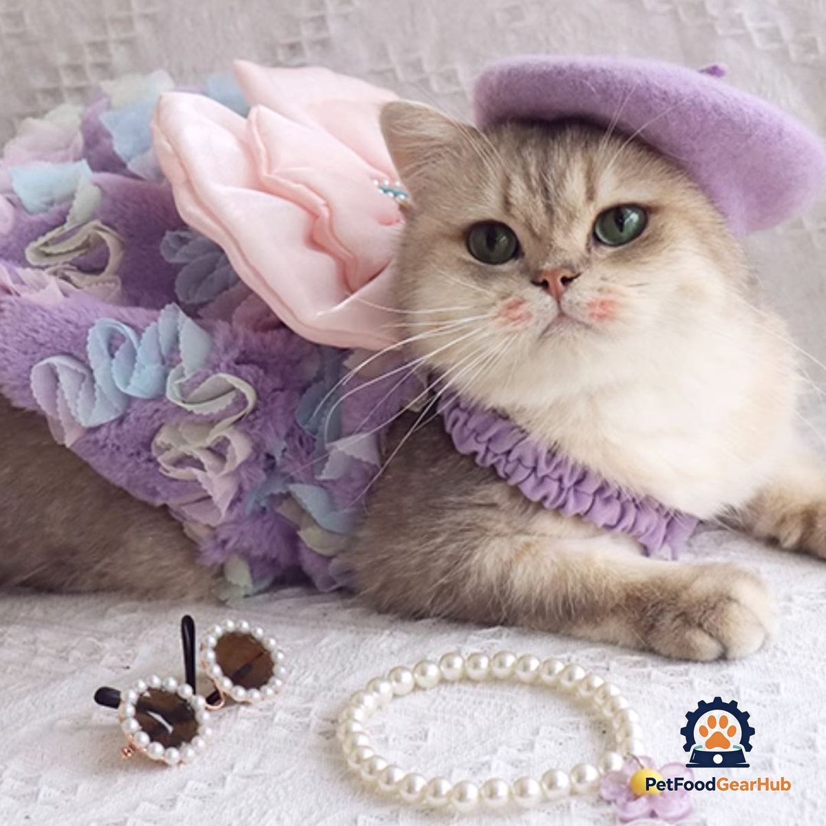 Cat in Cute Lilac Dress | PetFoodGearHub