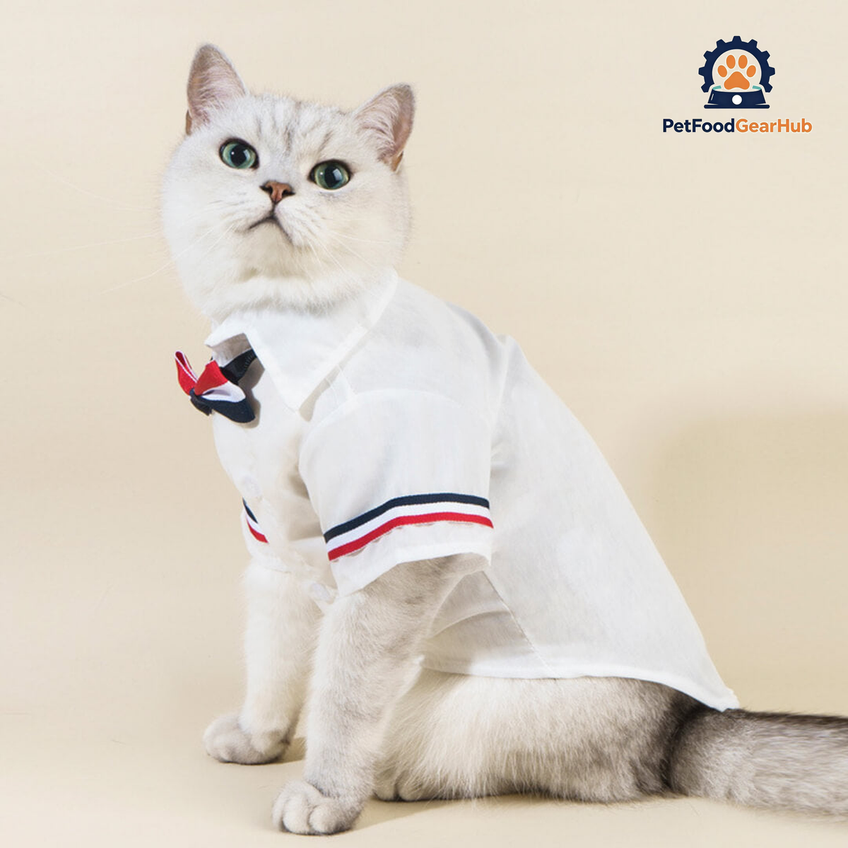 MoMo Cat Shirt | Cat in White Shirt with Bow Tie | PetFoodGearHub