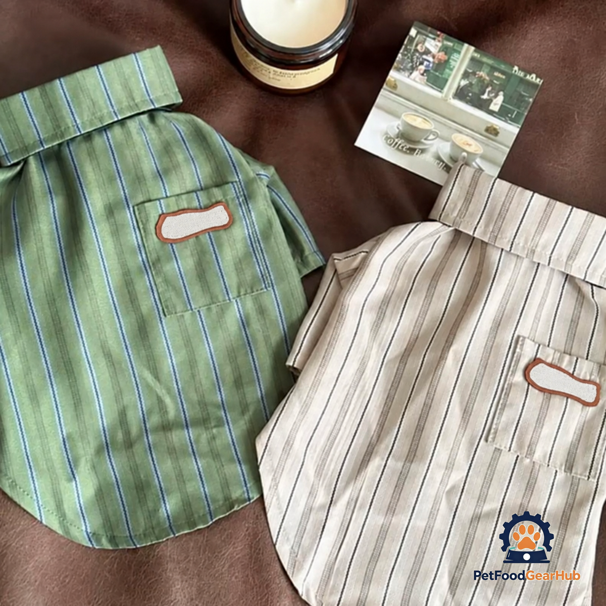 Back View of Oxford Cat Shirt in Sage Green and Cream | Striped Pet Shirt | PetFoodGearHub