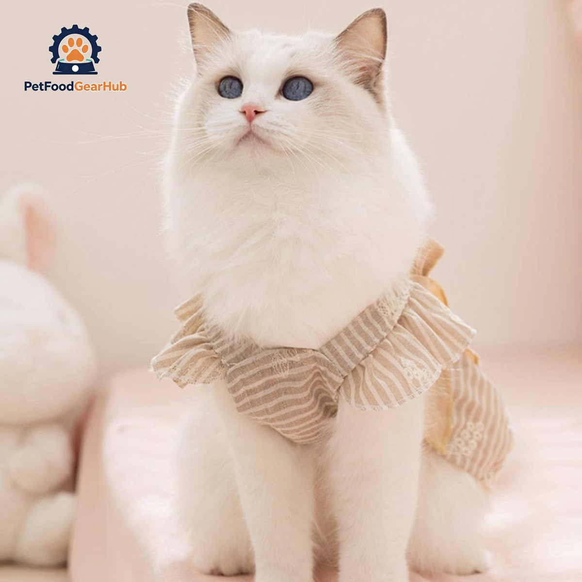 PetFoodGearHub Amelie Cat Dress product view 2