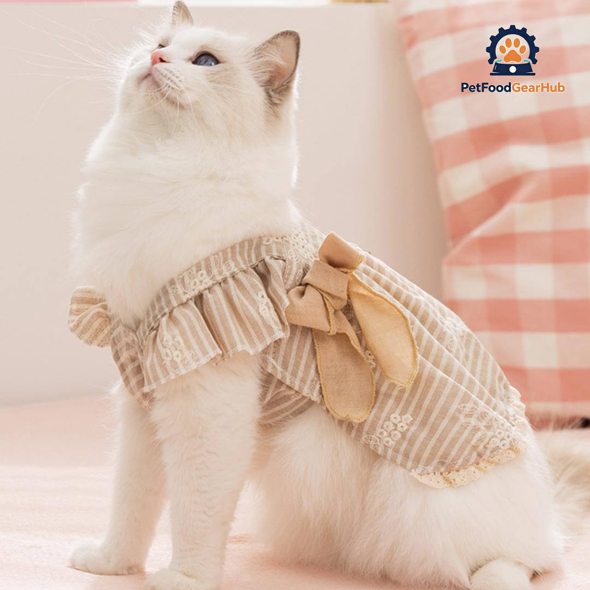 PetFoodGearHub Amelie Cat Dress product view 5