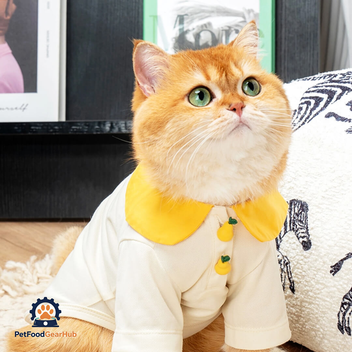 Cat in Pear Summer Shirt | PetFoodGearHub