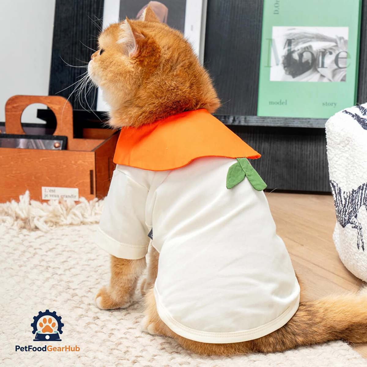 Cat in Orange Summer Shirt | PetFoodGearHub