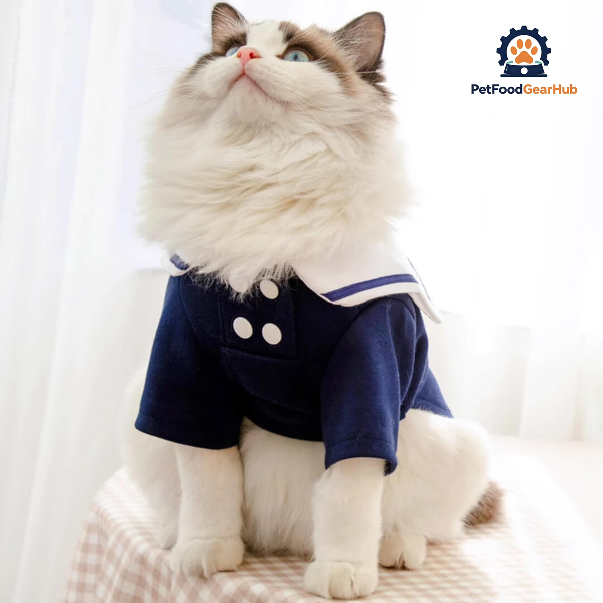 Cat in Sailor Shirt | Cat Clothes | PetFoodGearHub