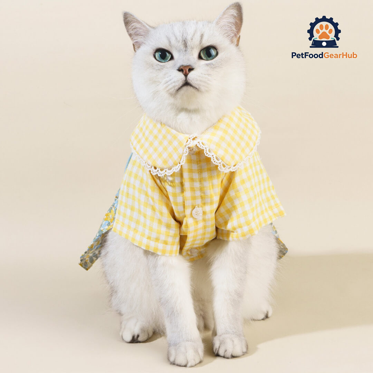 Cat in Checkered Floral Dress | PetFoodGearHub