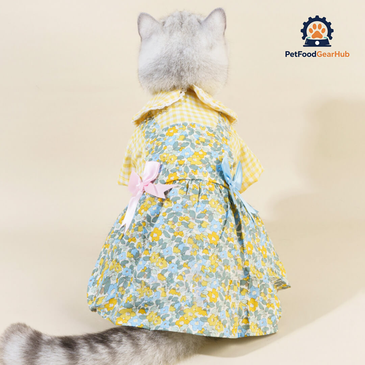 Cat in Checkered Floral Dress | PetFoodGearHub