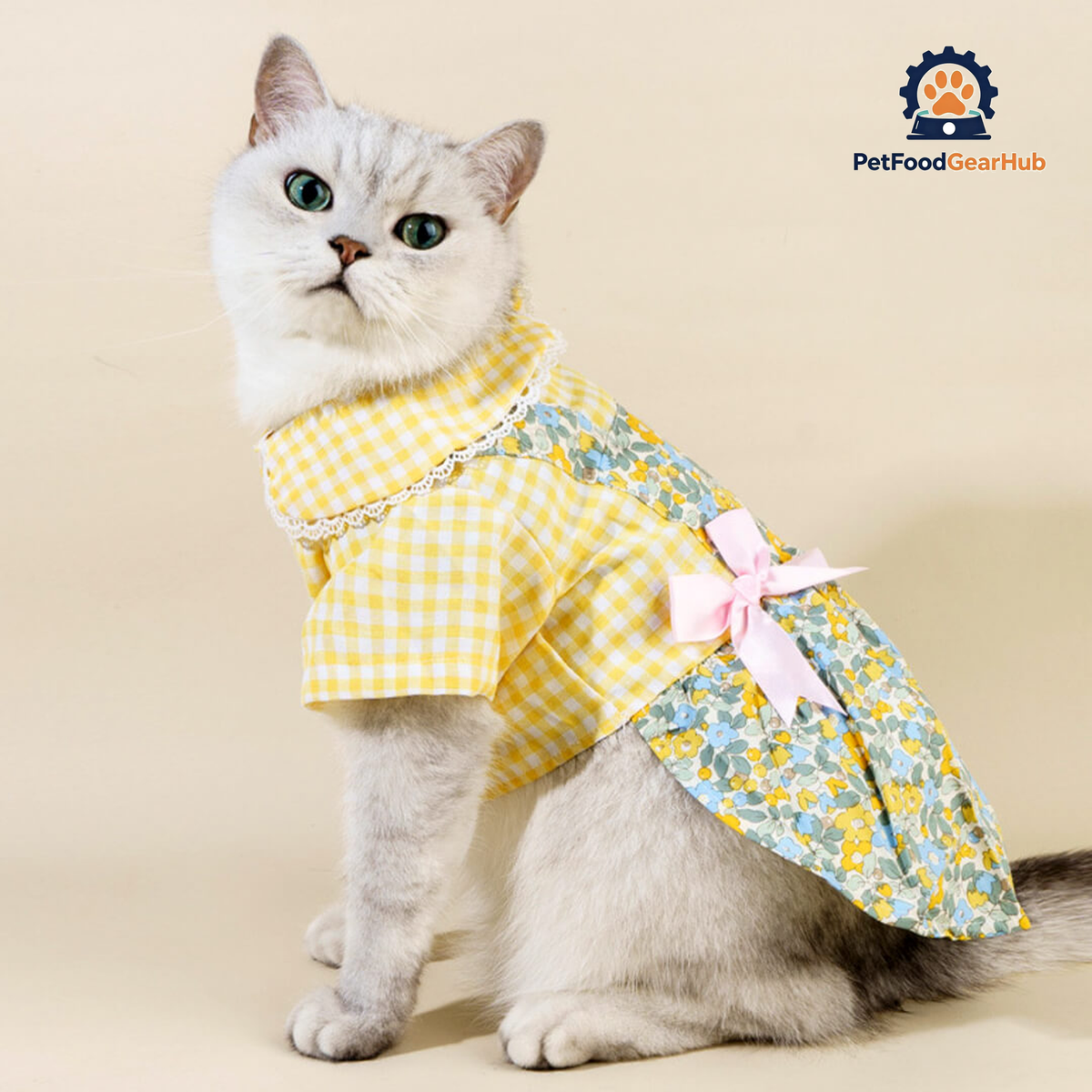 Cat in Checkered Floral Dress | PetFoodGearHub