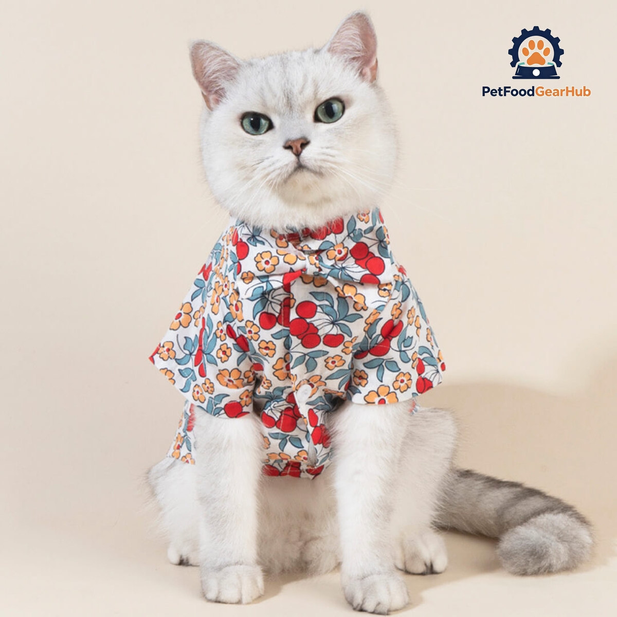 Cat in Floral Shirt with Bow Tie | PetFoodGearHub