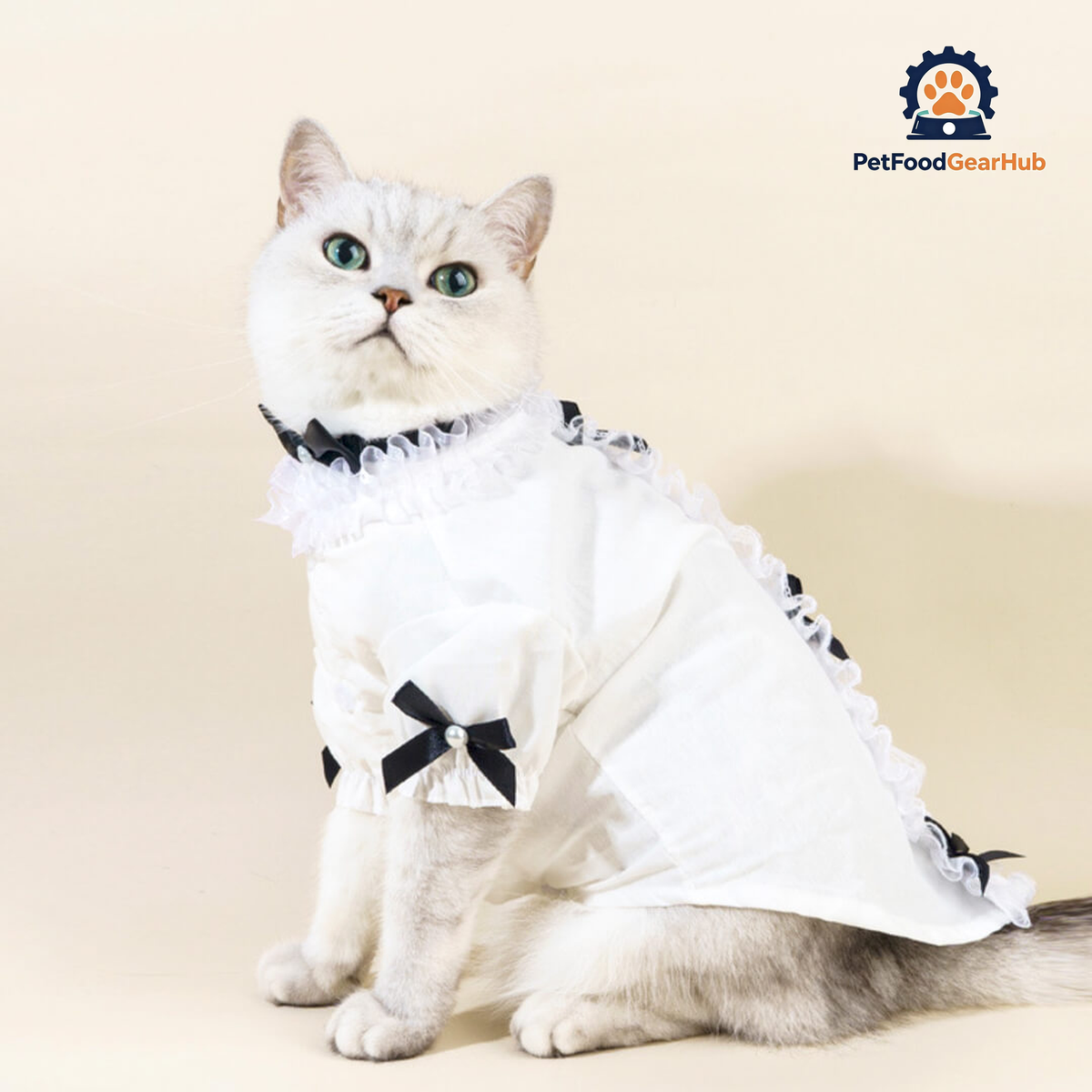 Missy Cat Shirt | Cat in White Shirt with Bow Tie | PetFoodGearHub