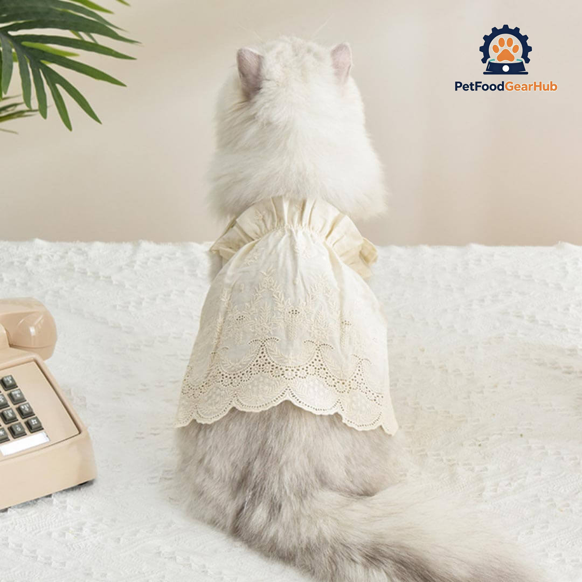 Jasmine Cat Dress | Cat in Beige Dress | Cat Clothes | PetFoodGearHub