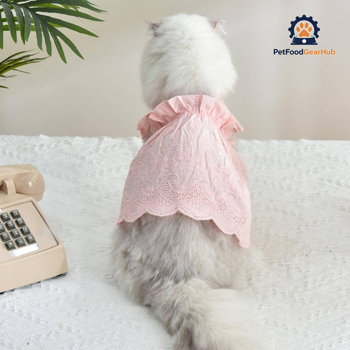 Jasmine Cat Dress | Cat in Pink Dress | Cat Clothes | PetFoodGearHub