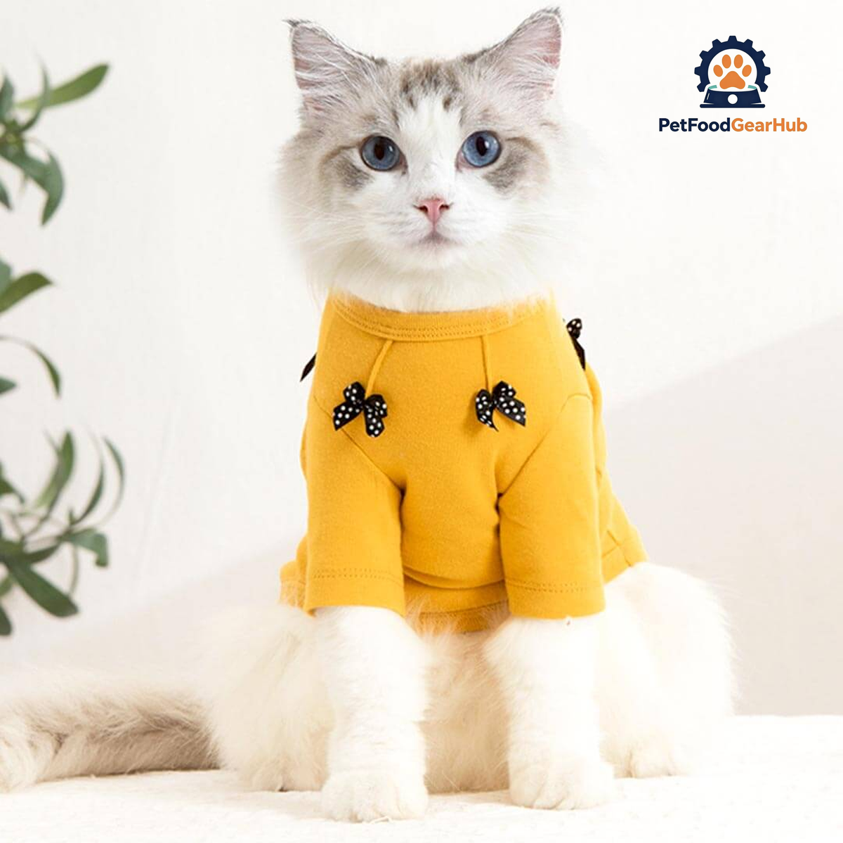Bella Cat T-Shirt | Cat in T-Shirt | Cat Clothes | PetFoodGearHub