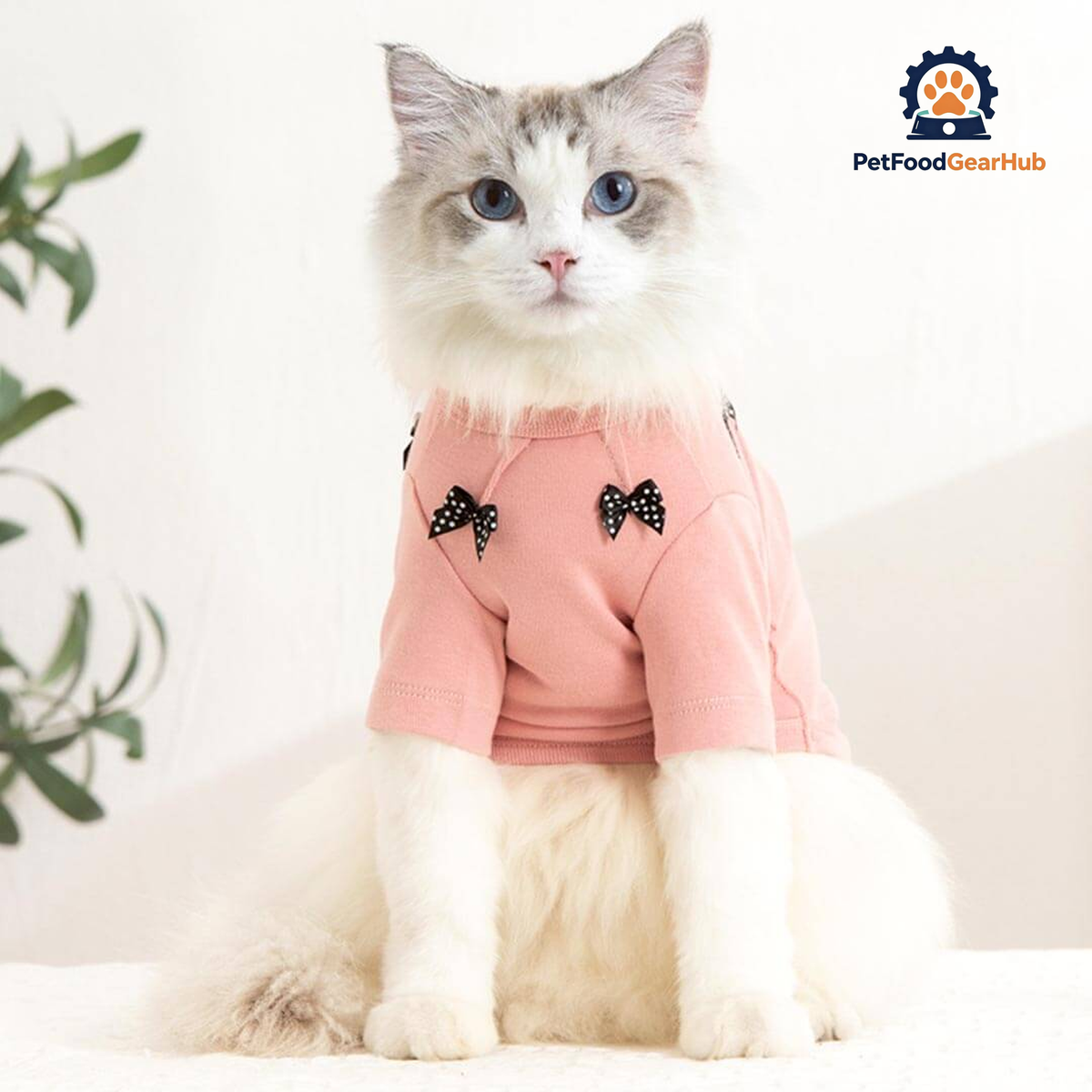 Bella Cat T-Shirt | Cat in T-Shirt | Cat Clothes | PetFoodGearHub