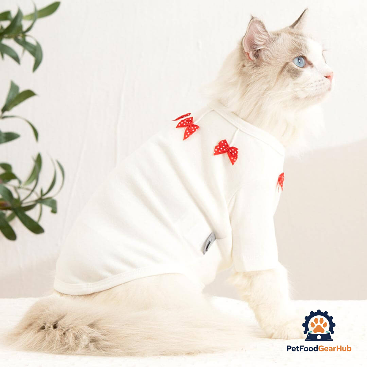 Bella Cat T-Shirt | Cat in T-Shirt | Cat Clothes | PetFoodGearHub