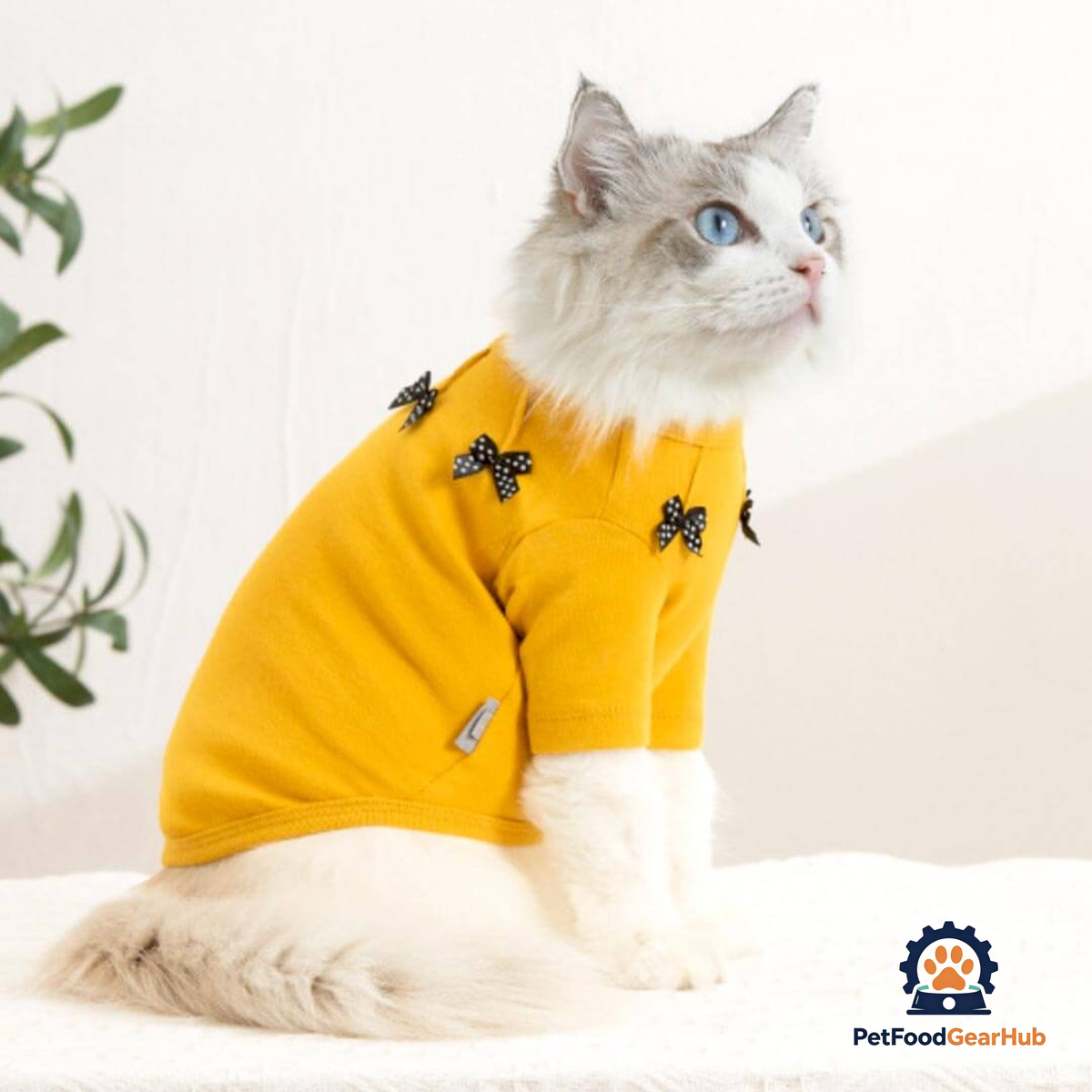 Bella Cat T-Shirt | Cat in T-Shirt | Cat Clothes | PetFoodGearHub