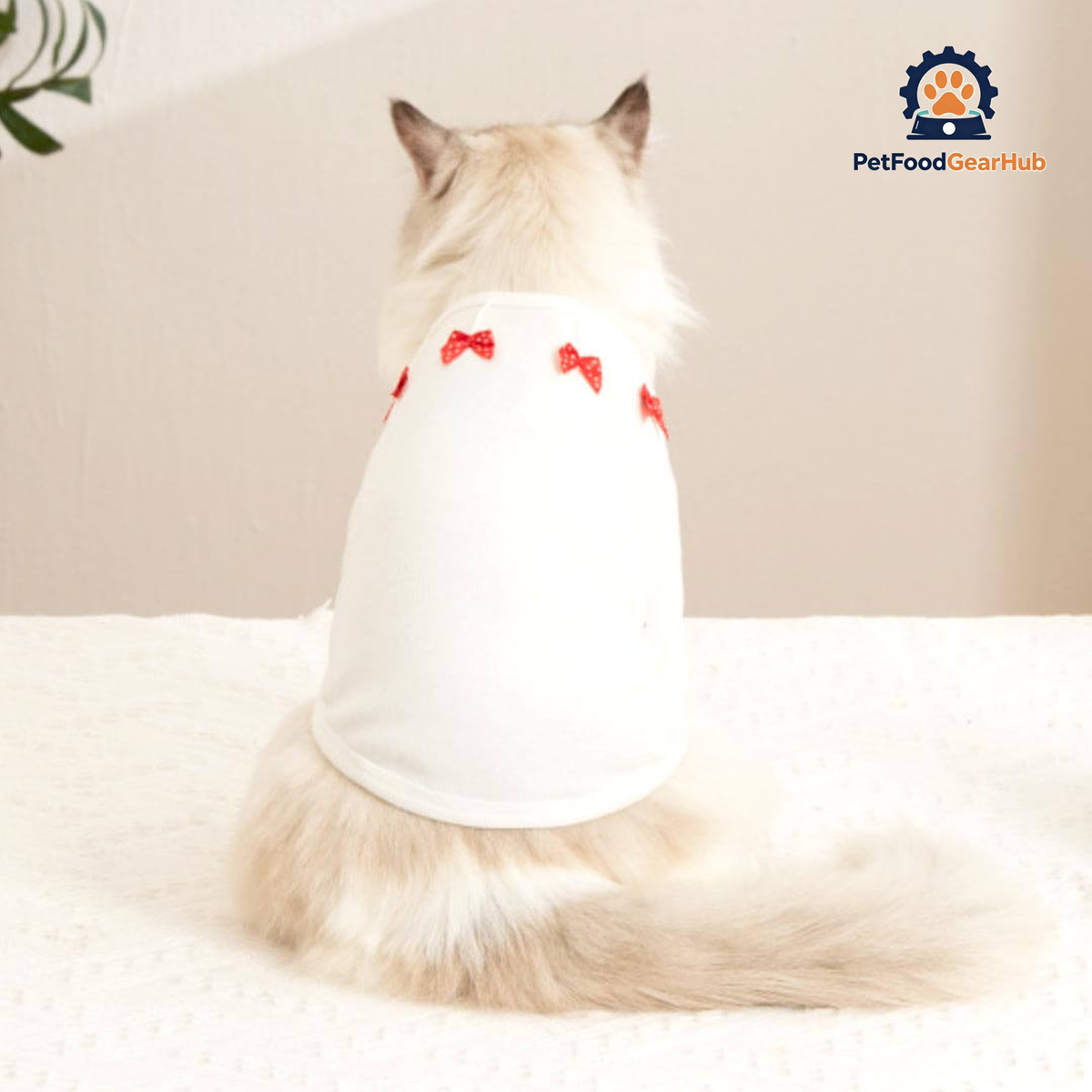 Bella Cat T-Shirt | Cat in T-Shirt | Cat Clothes | PetFoodGearHub