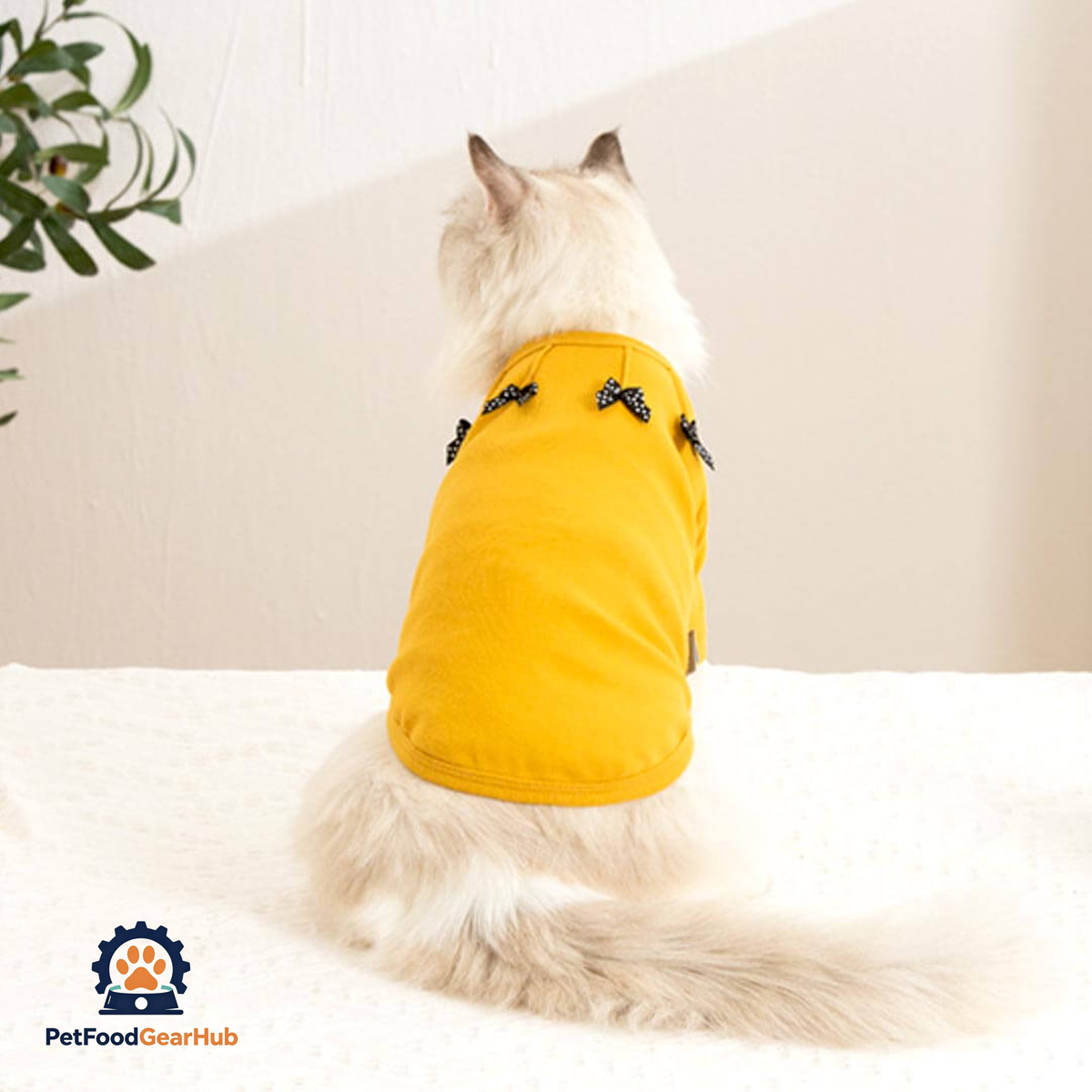Bella Cat T-Shirt | Cat in T-Shirt | Cat Clothes | PetFoodGearHub