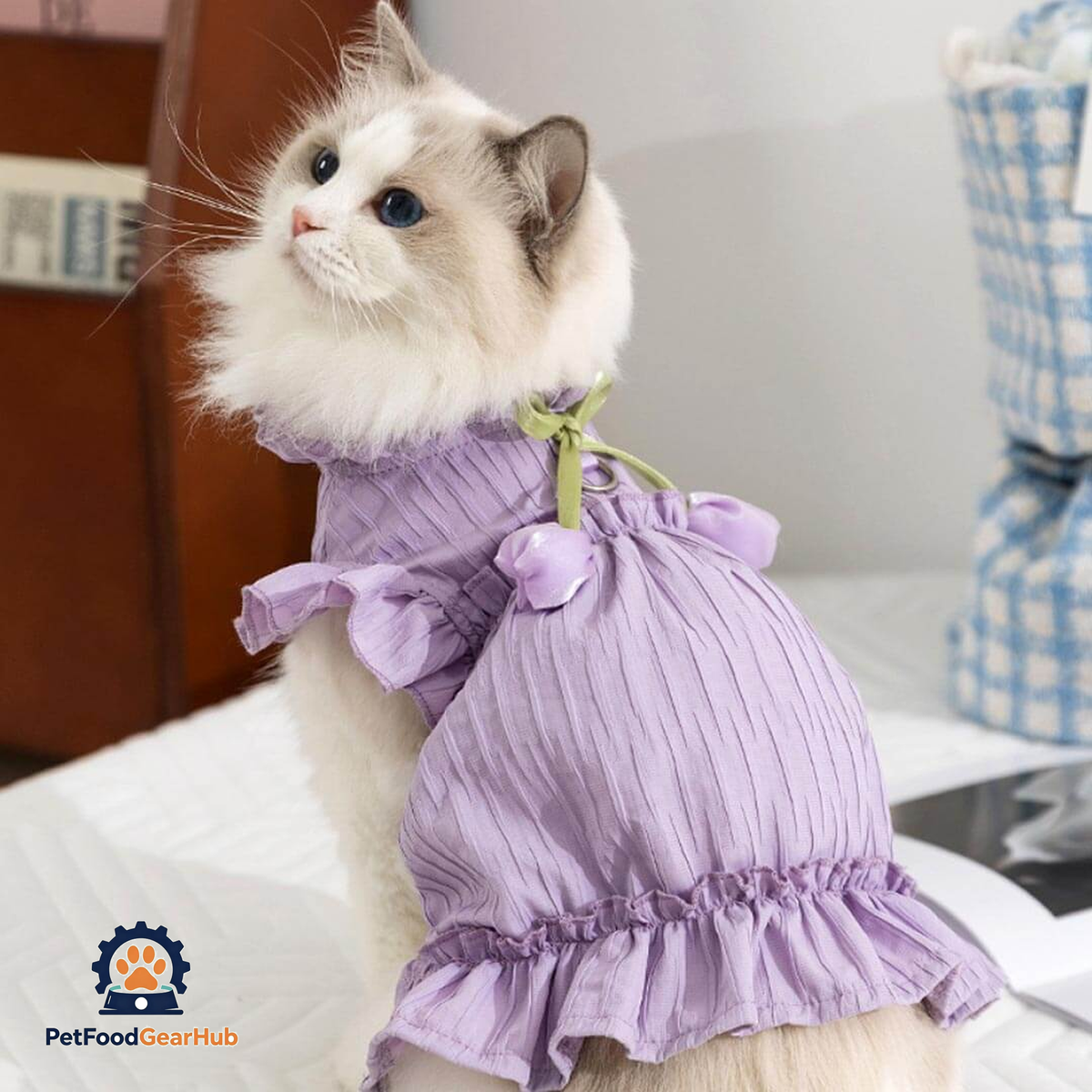 Cat in Purple Tulip Cat Dress | Cute Ruffle Cat Clothes | PetFoodGearHub