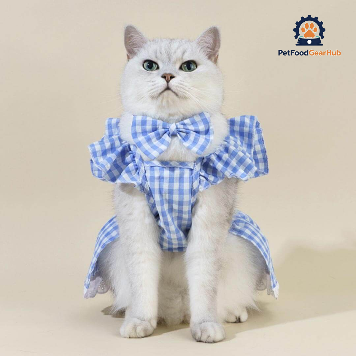 Checkers Cat Dress & Bow Set | Dress for Cats | Cat with Dress | PetFoodGearHub