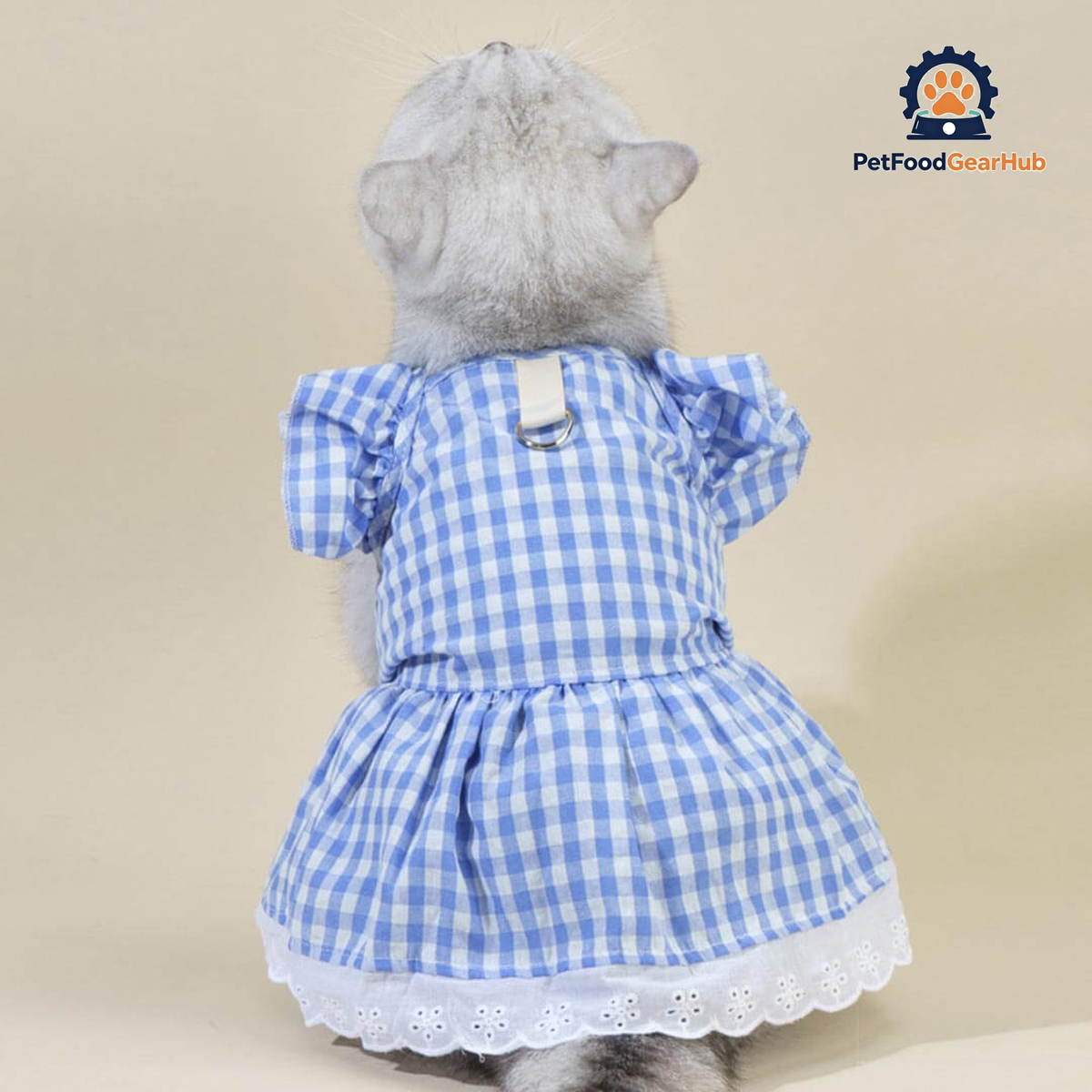 Checkers Cat Dress & Bow Set | Dress for Cats | Cat with Dress | PetFoodGearHub