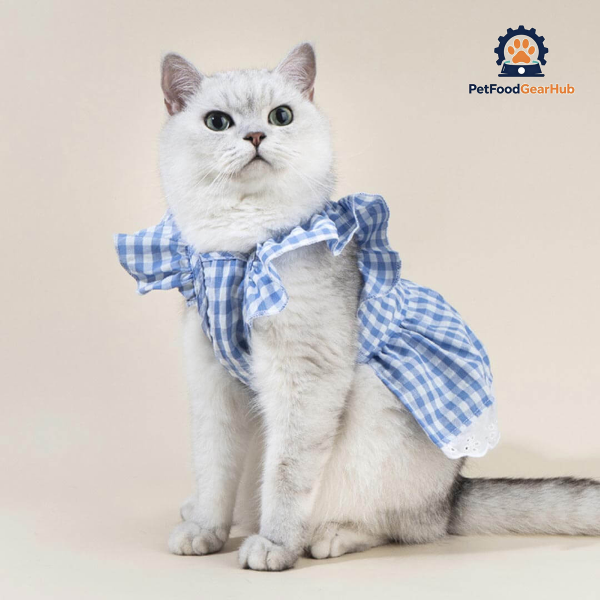 Checkers Cat Dress & Bow Set | Dress for Cats | Cat with Dress | PetFoodGearHub