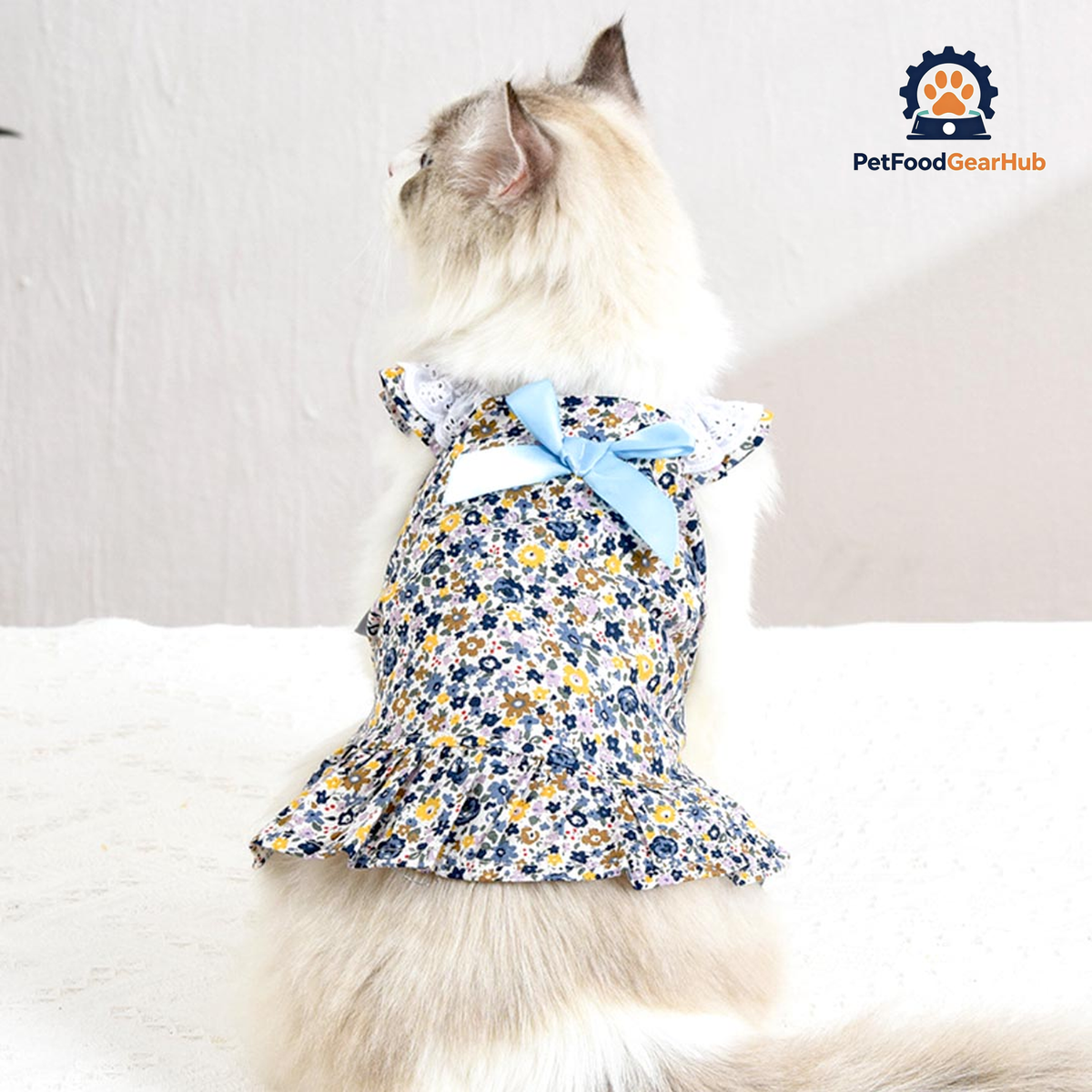 August Cat Dress | Cat Clothes | Pet Clothes | PetFoodGearHub