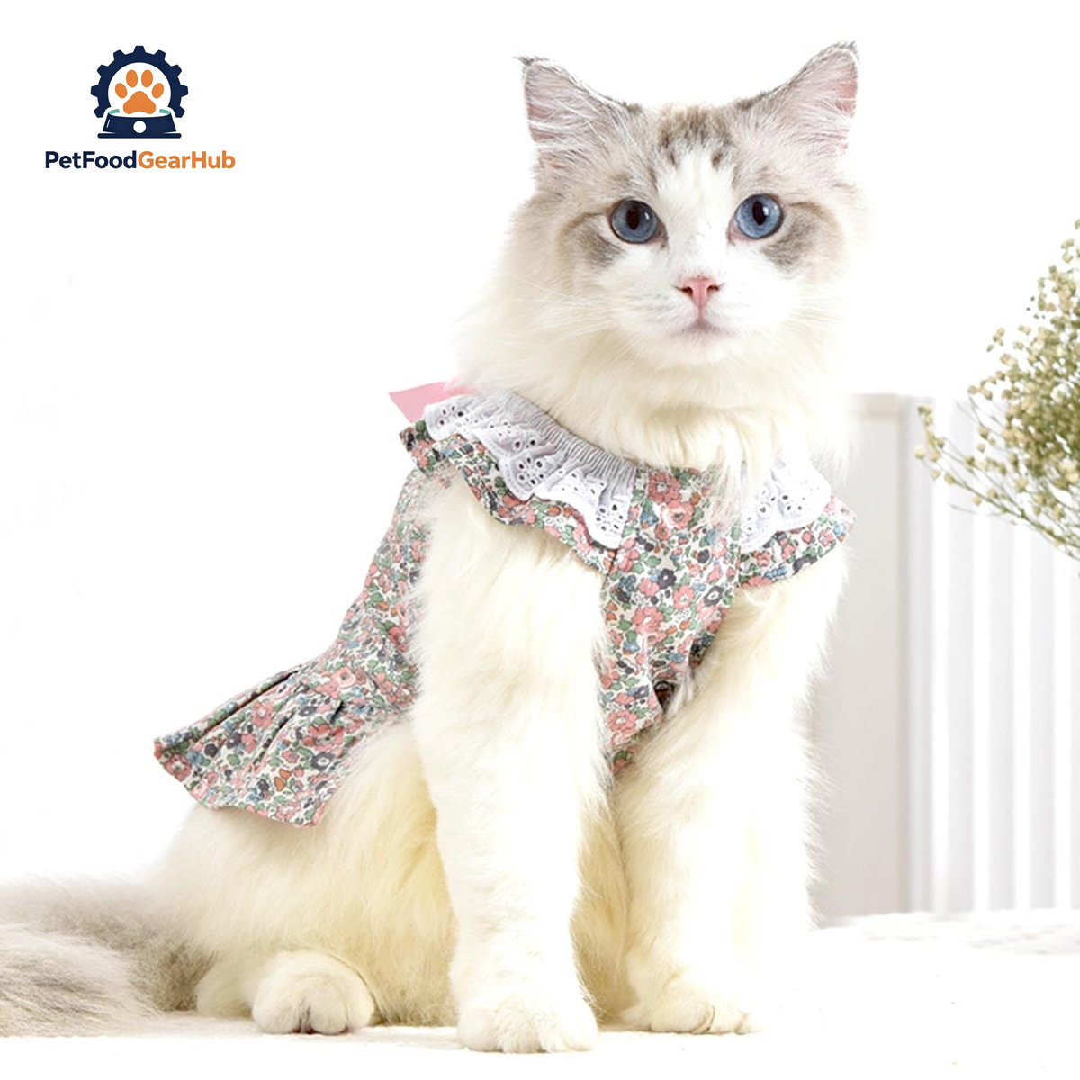 August Cat Dress | Cat Clothes | Pet Clothes | PetFoodGearHub