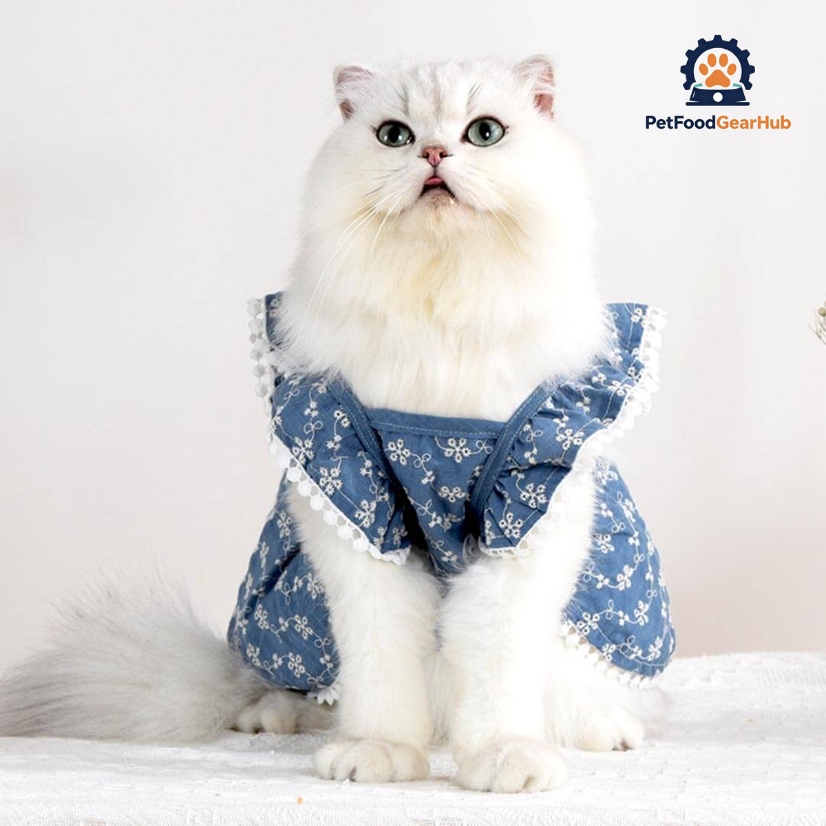 MoMo Cat Dress | Dress for Cats | Cat in Dress | PetFoodGearHub